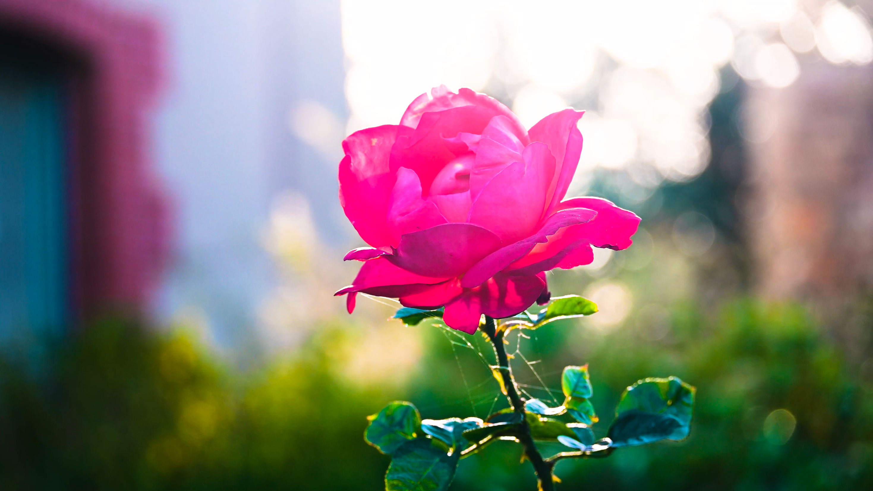 Capture de Jardins suspendus